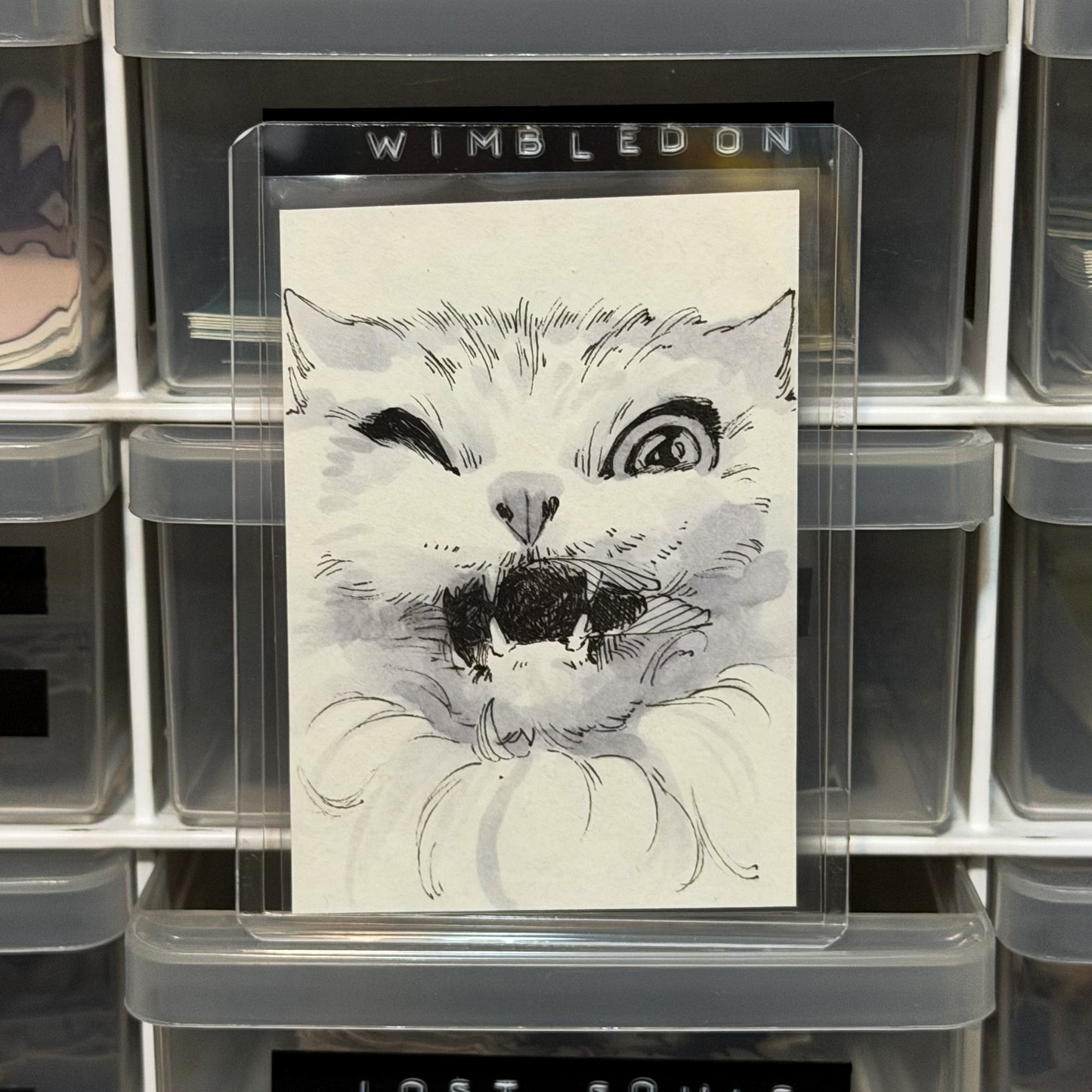 Caught ACEO Original Artwork