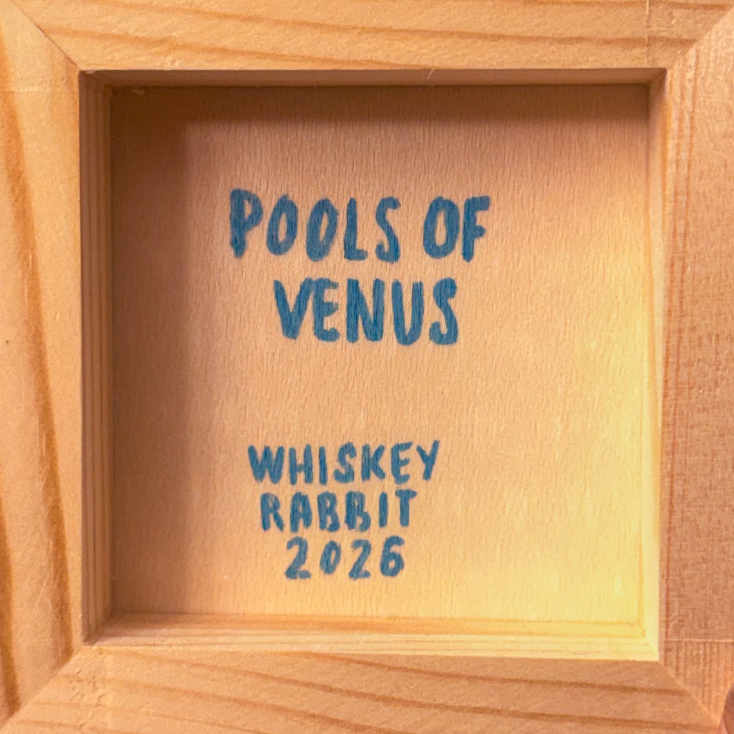 Pools of Venus Original Artwork