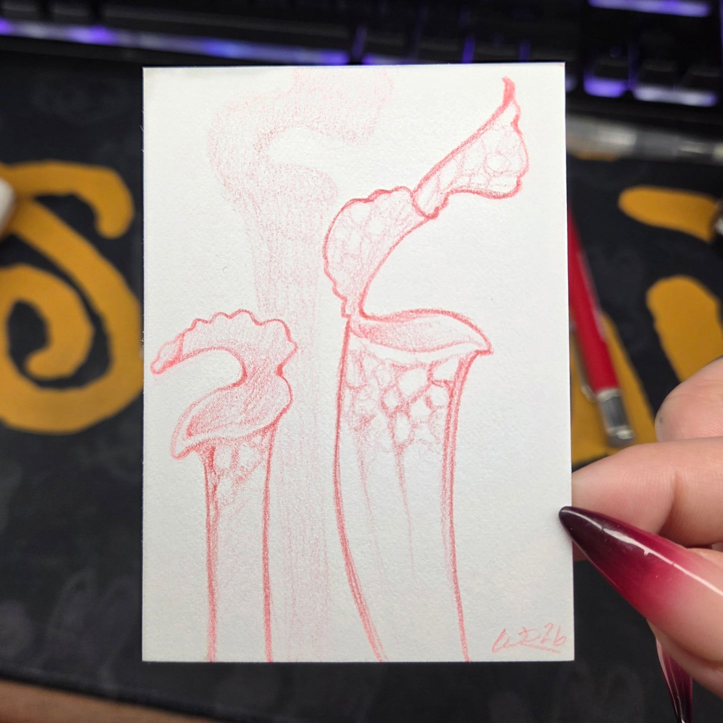 Pitcher Plant ACEO Original Artwork