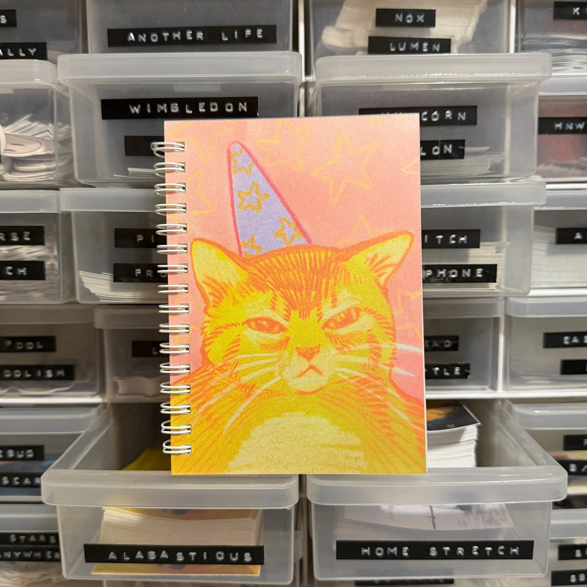 My Party Pocket Spiral Notebook