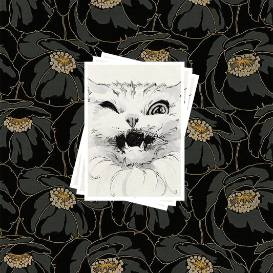 Card Sleeves [Caught] Set of 100 Pre-Order