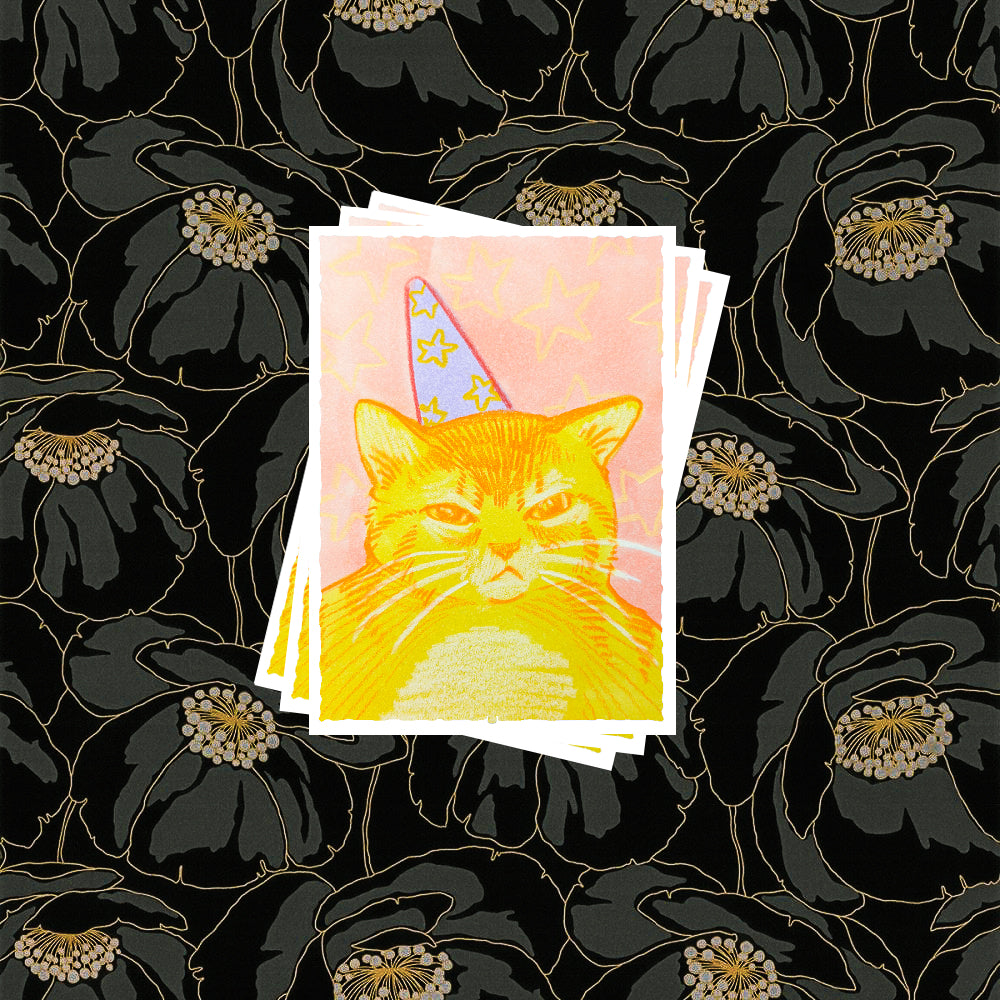Card Sleeves [My Party] Set of 100 Pre-Order