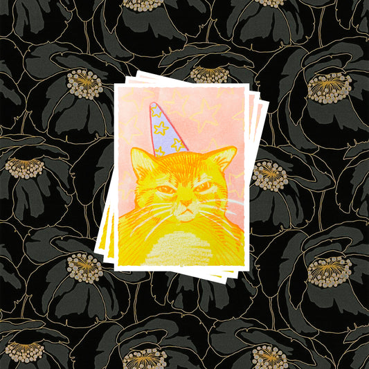 Card Sleeves [My Party] Set of 100 Pre-Order