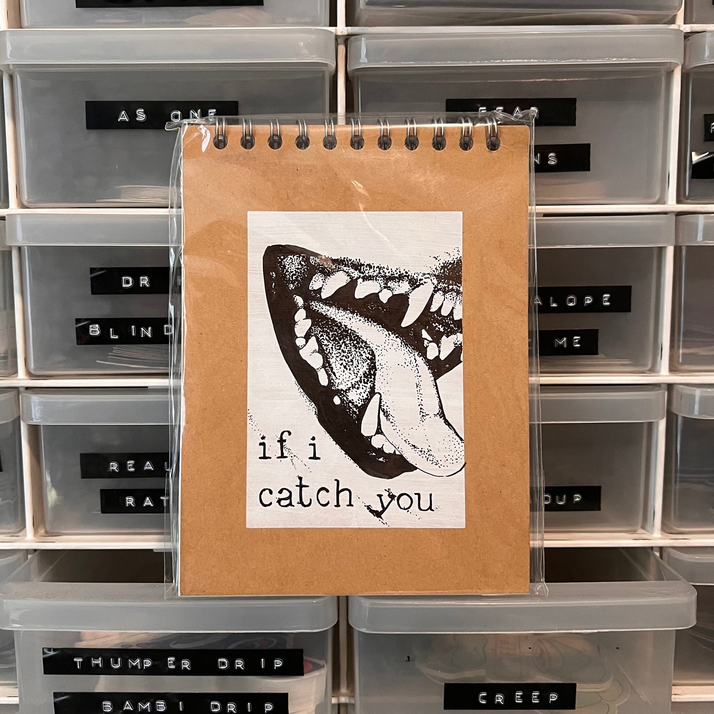 Ravage Original Artwork Notebook / Sketchbook