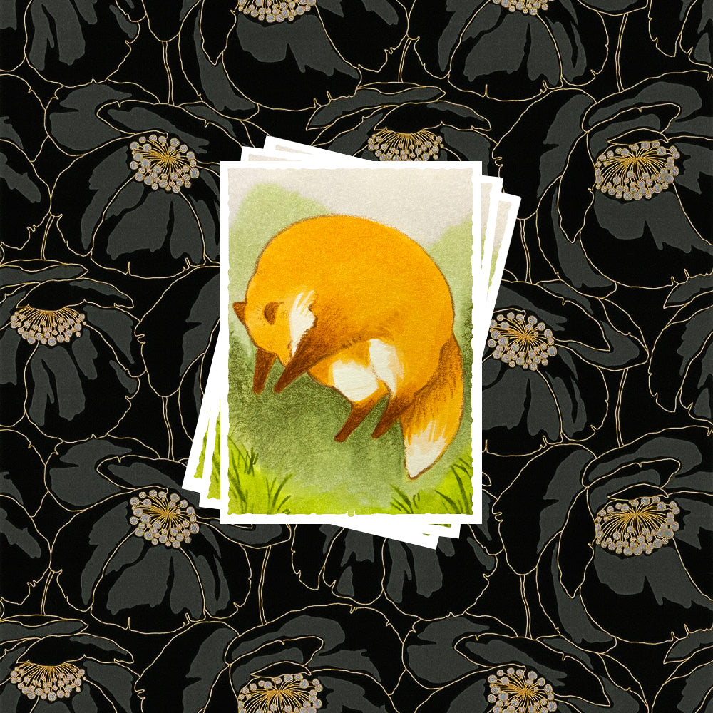 Card Sleeves [Rounding] Set of 100 Pre-Order