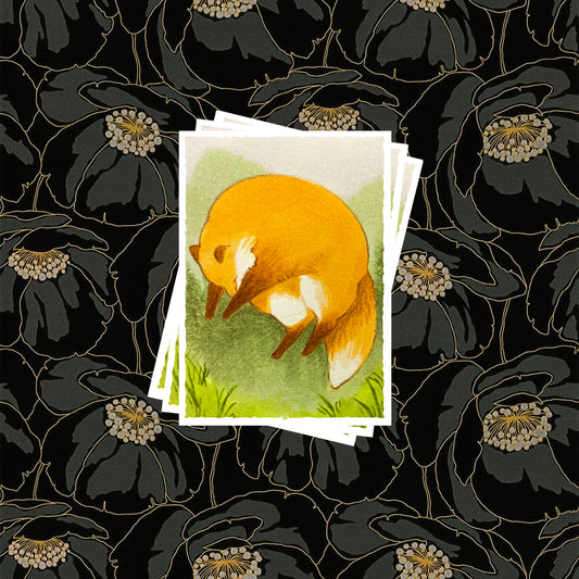 Card Sleeves [Rounding] Set of 100 Pre-Order