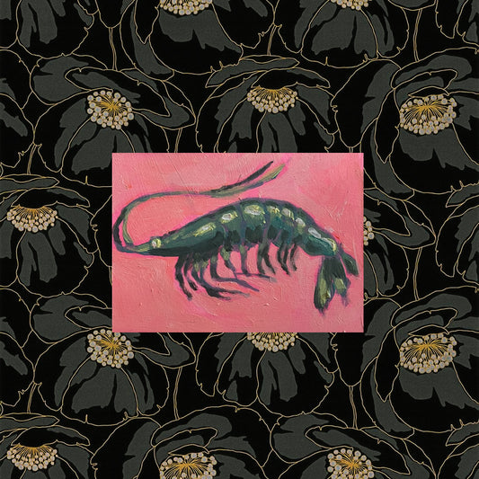 Shrimp ACEO Print